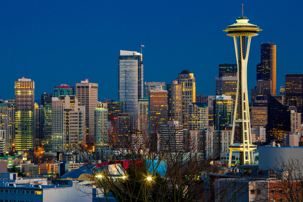 Reputation management Seattle professionals and businesses