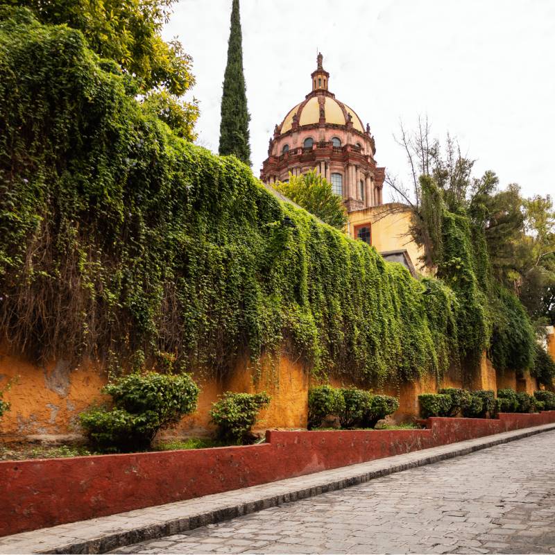 Reputation Management Mexico City Office