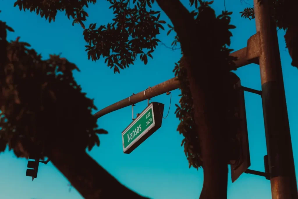pexels smepictures 18093762